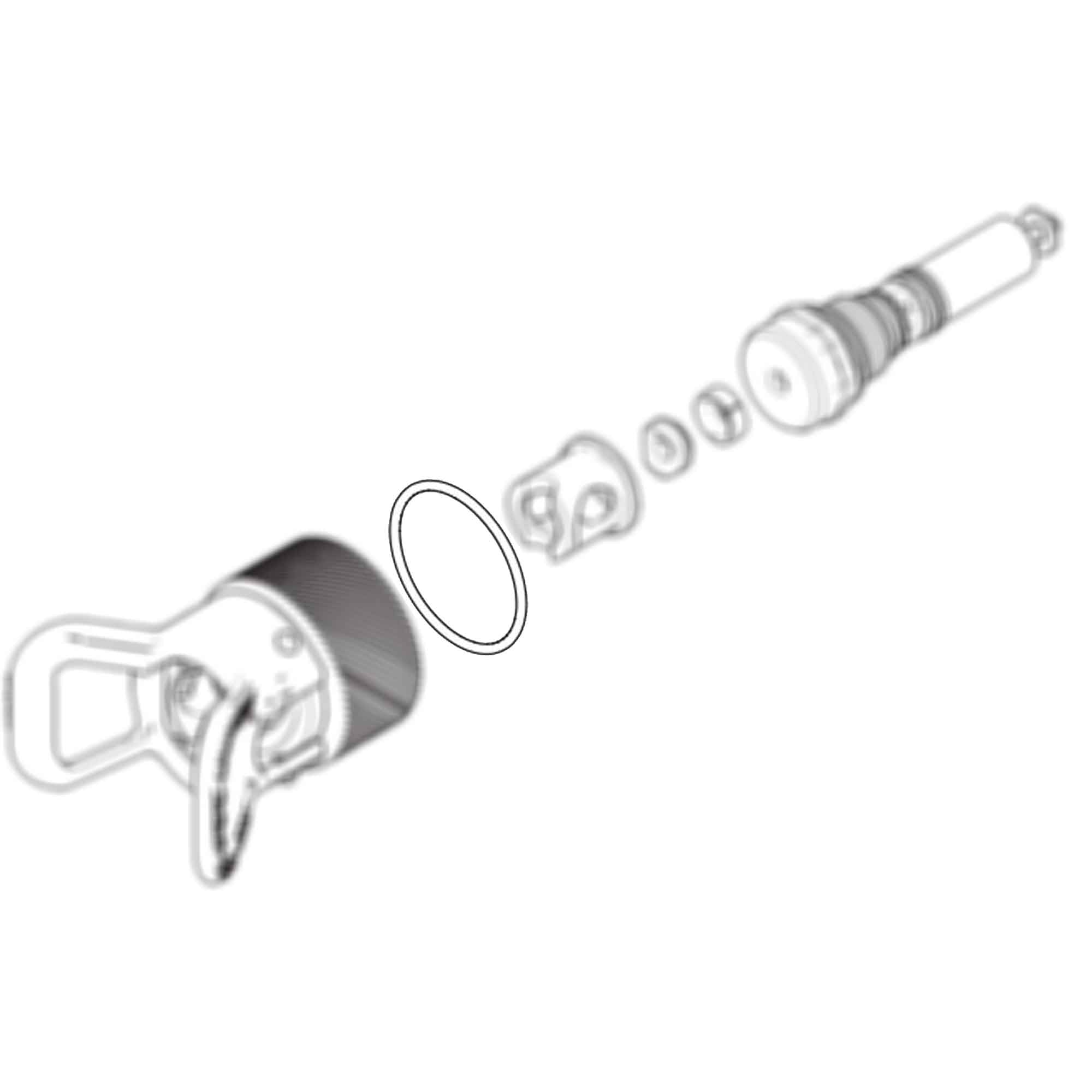 109213 Packing, ORing