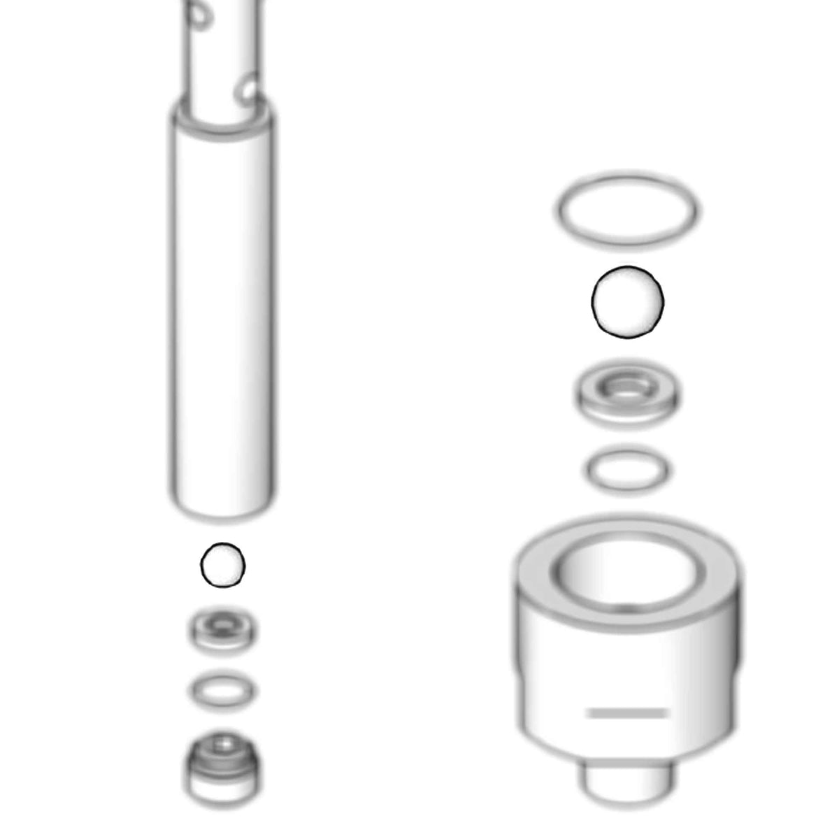 24A261 - Stainless Steel Check Ball Kit