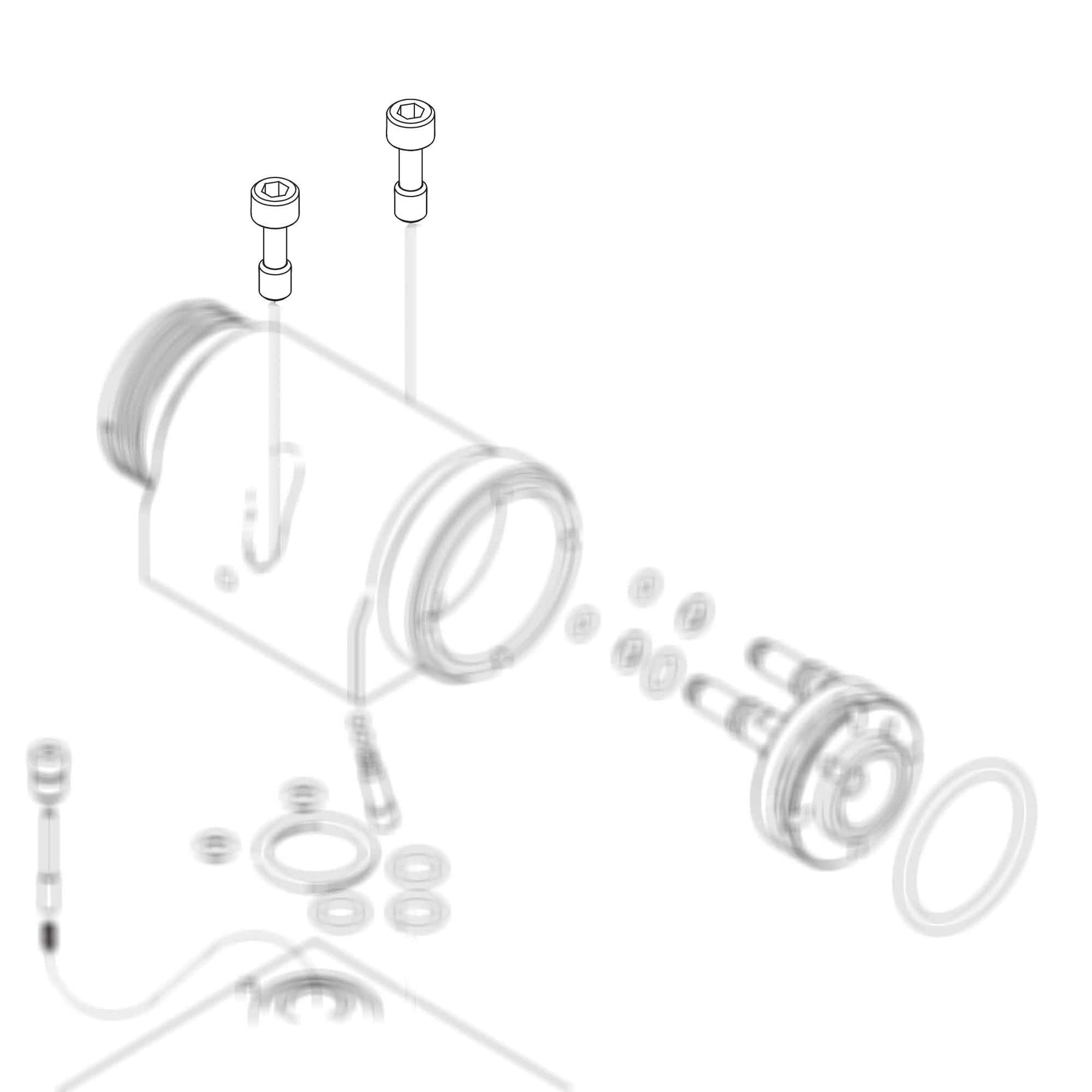 24X790 - Screw Kit (Pack of 2)