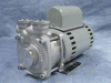 P31 Regenerative Turbine Pumps - MTH