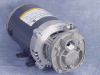 T31 Regenerative Turbine Pumps - MTH